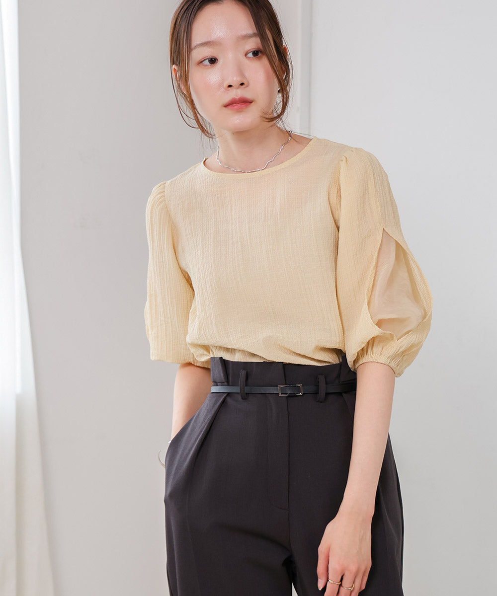 袖ボリュームシアー使いブラウス