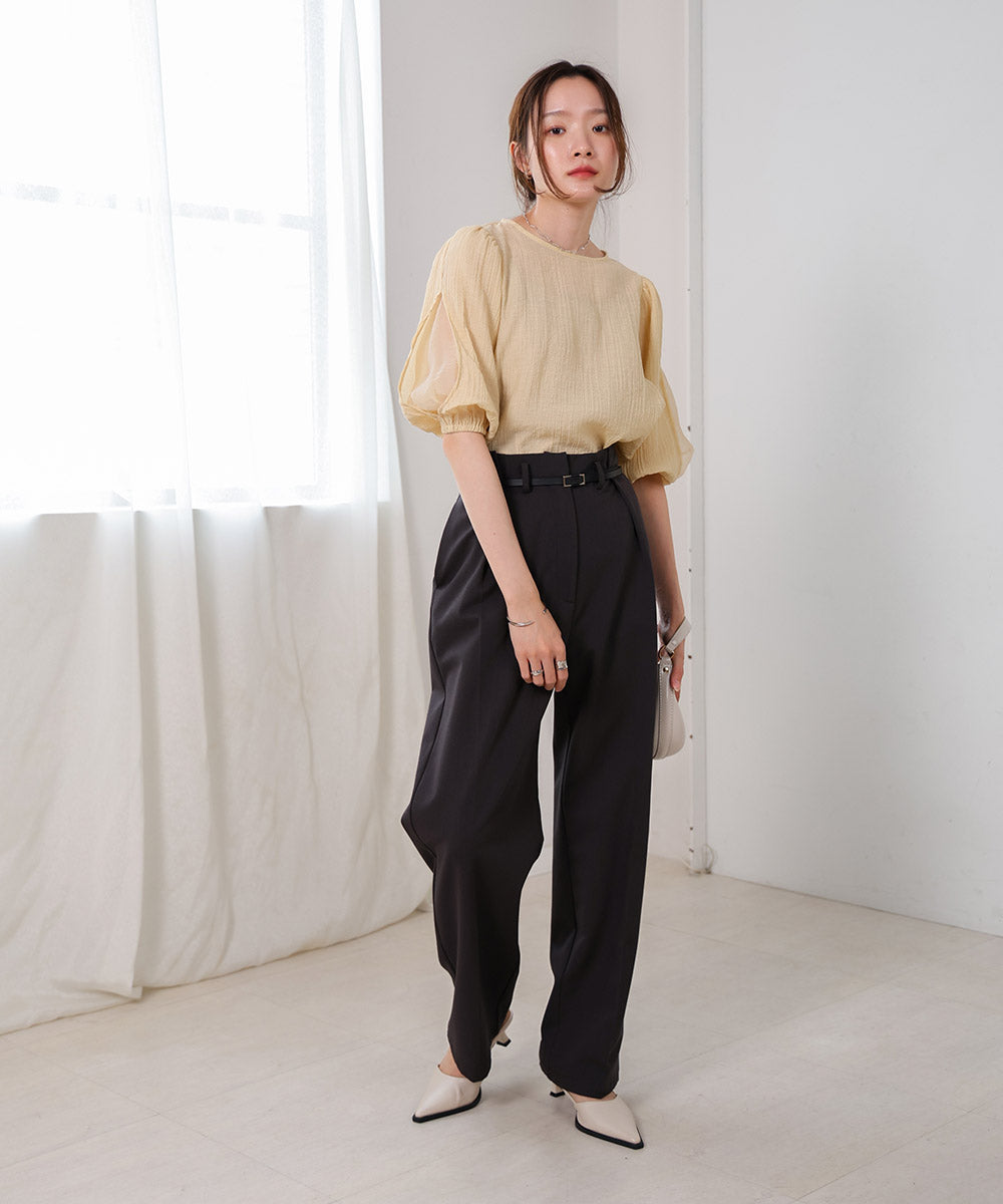 袖ボリュームシアー使いブラウス