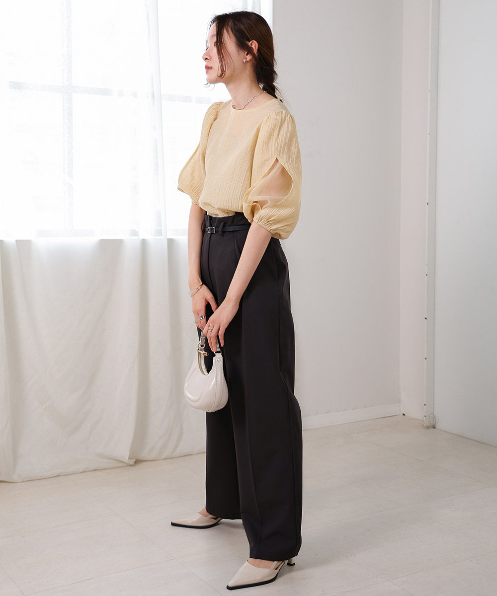 袖ボリュームシアー使いブラウス