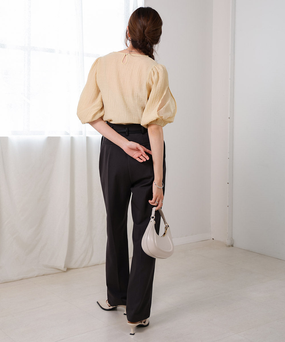 袖ボリュームシアー使いブラウス