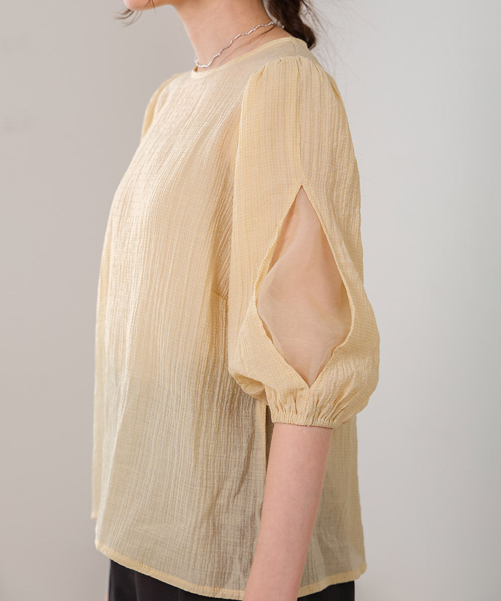 袖ボリュームシアー使いブラウス