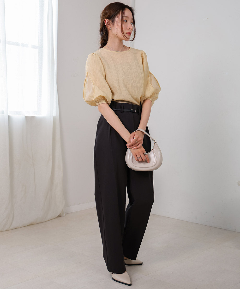 袖ボリュームシアー使いブラウス