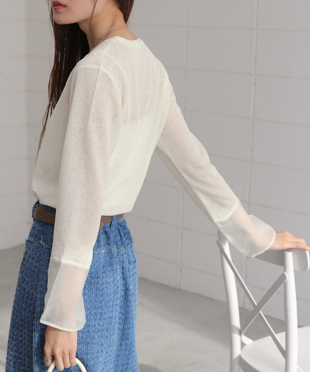 袖シアーラメベーシックカットソートップス