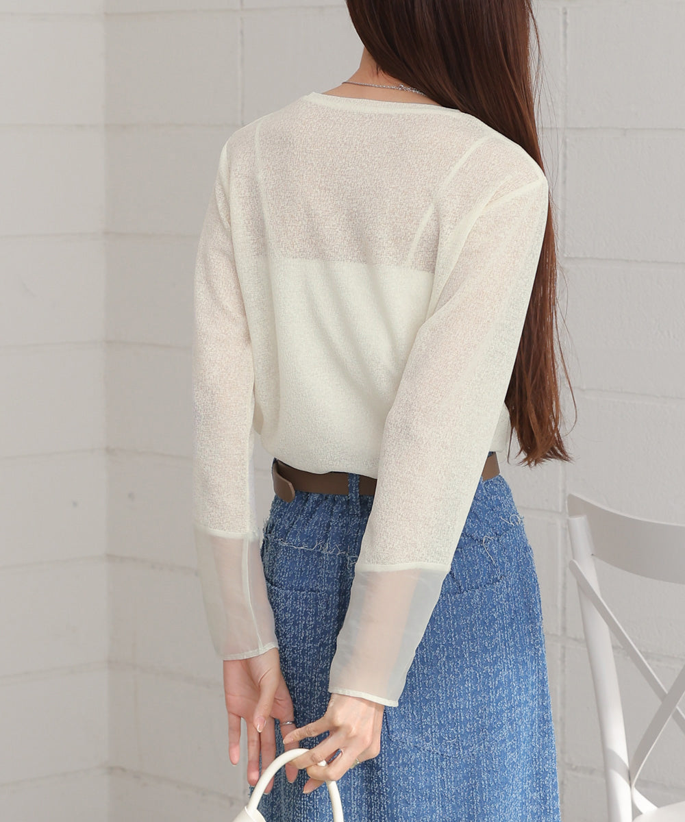 袖シアーラメベーシックカットソートップス