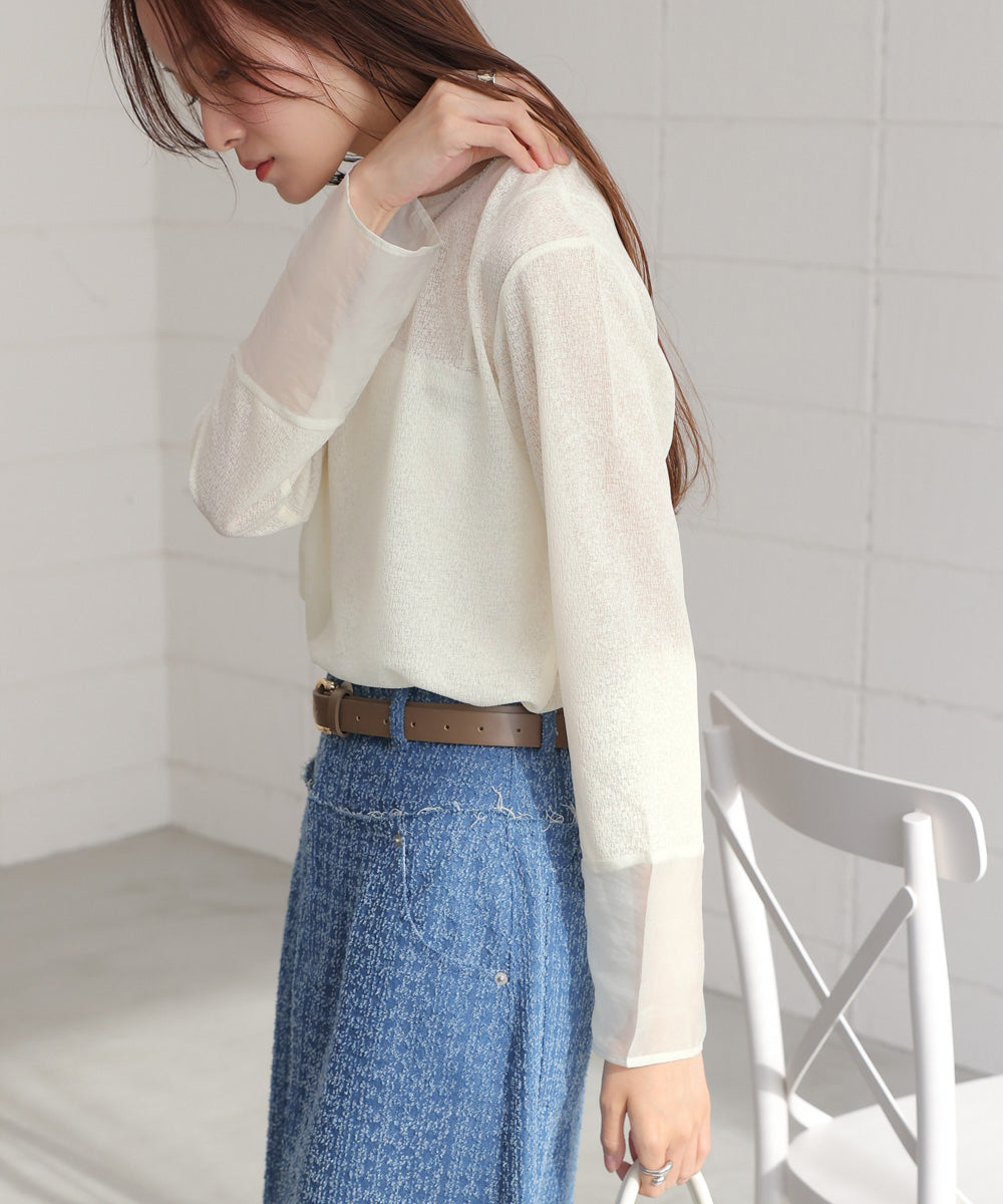 袖シアーラメベーシックカットソートップス