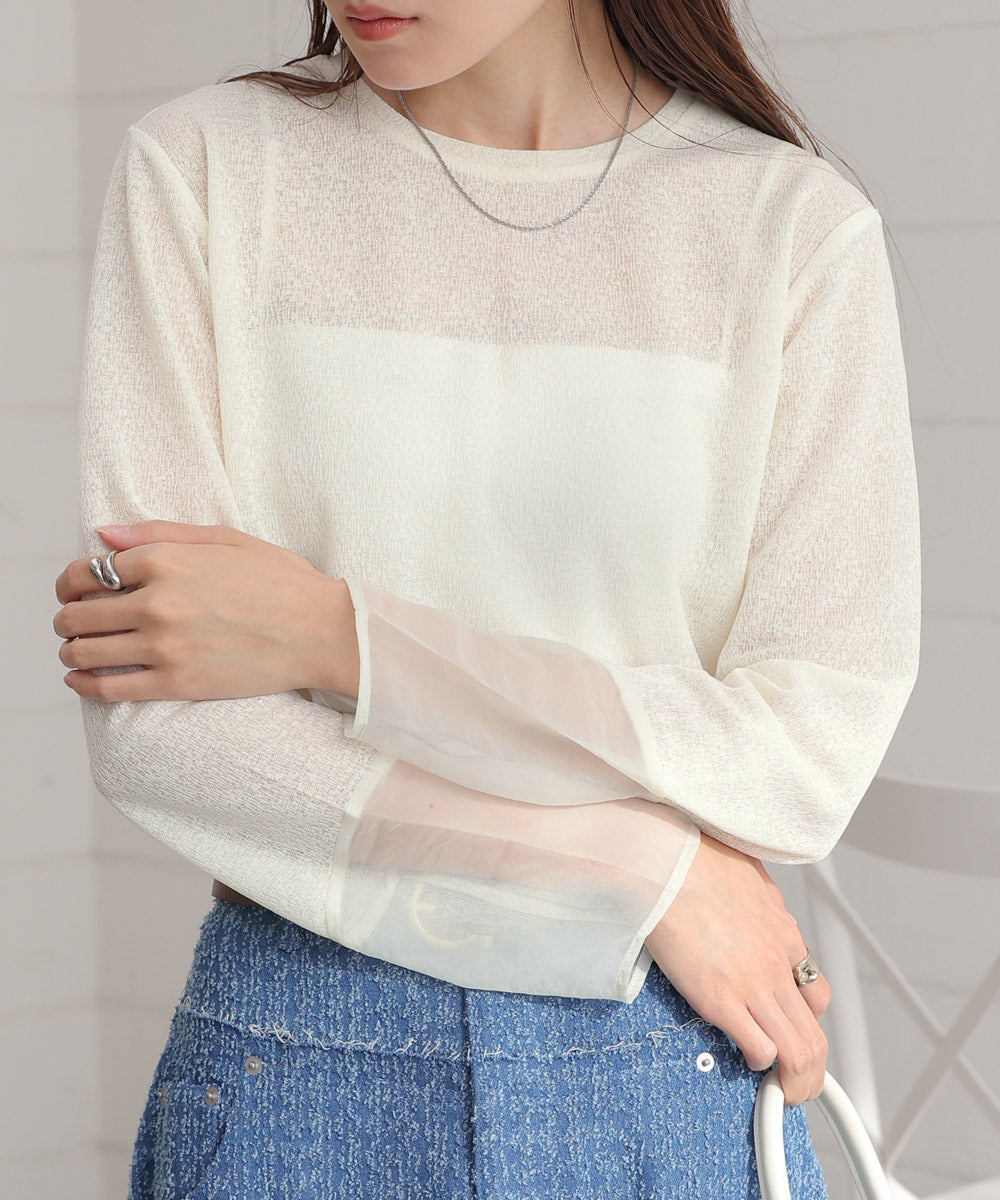 袖シアーラメベーシックカットソートップス