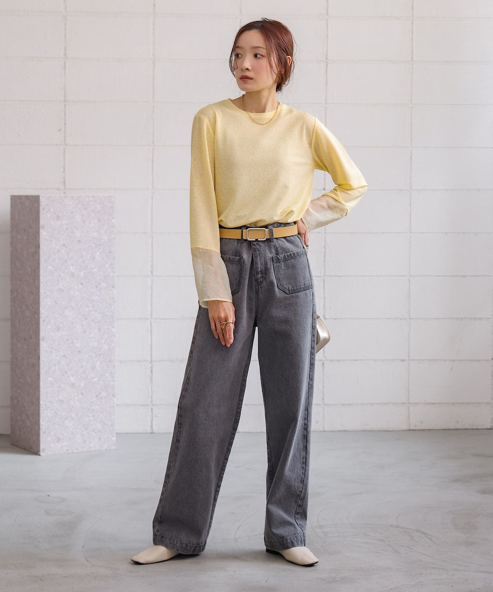 袖シアーラメベーシックカットソートップス