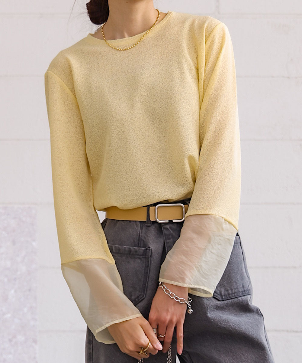 袖シアーラメベーシックカットソートップス