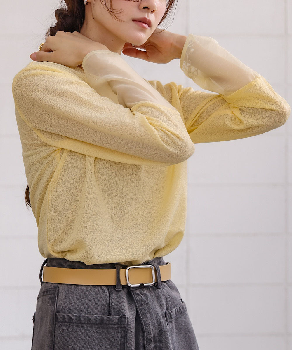 袖シアーラメベーシックカットソートップス