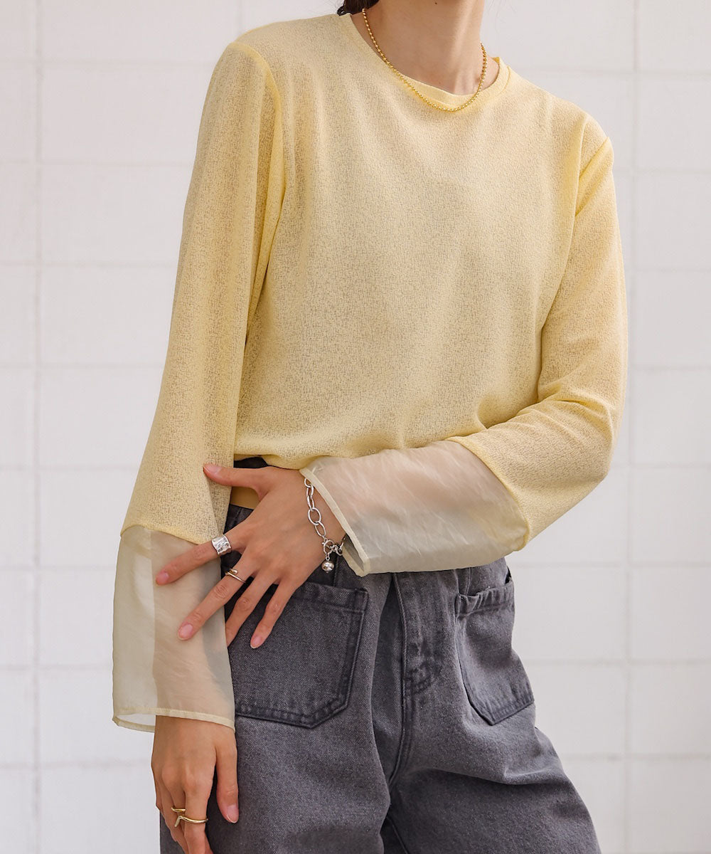 袖シアーラメベーシックカットソートップス