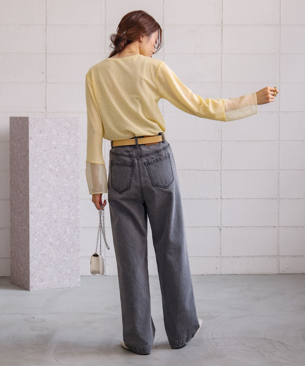 袖シアーラメベーシックカットソートップス