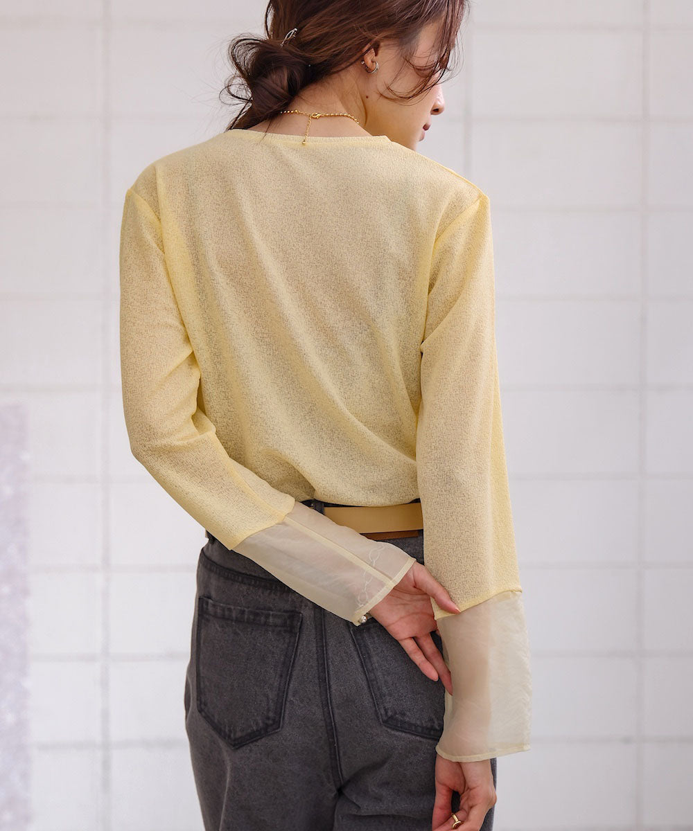 袖シアーラメベーシックカットソートップス