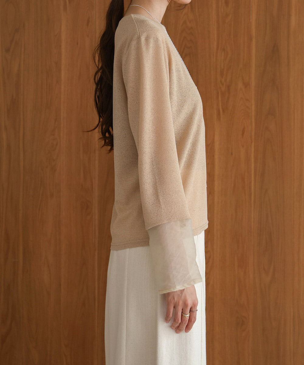 袖シアーラメベーシックカットソートップス