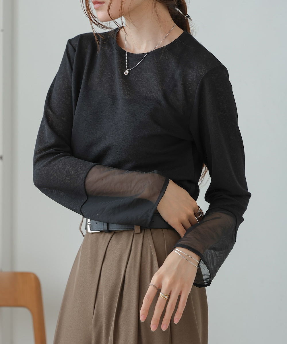 袖シアーラメベーシックカットソートップス