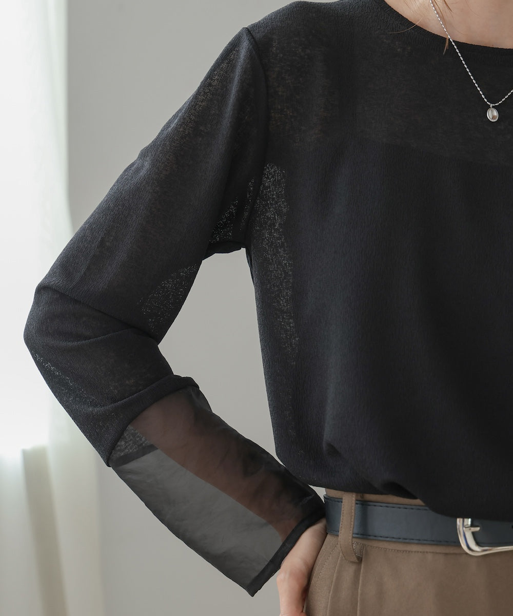 袖シアーラメベーシックカットソートップス