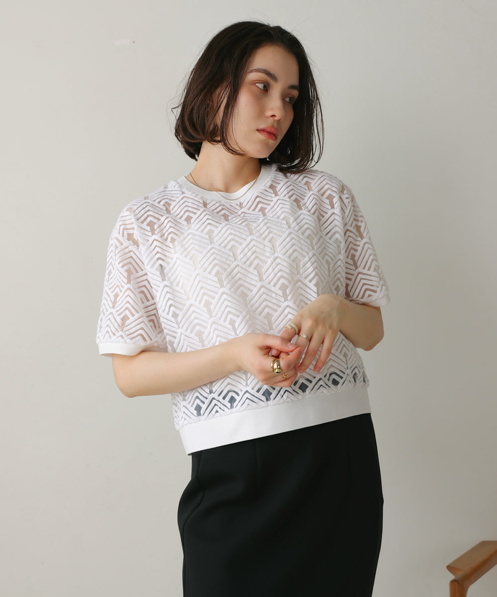 オーガンジー刺繍ブラウス