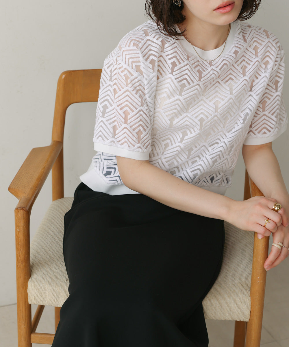 オーガンジー刺繍ブラウス