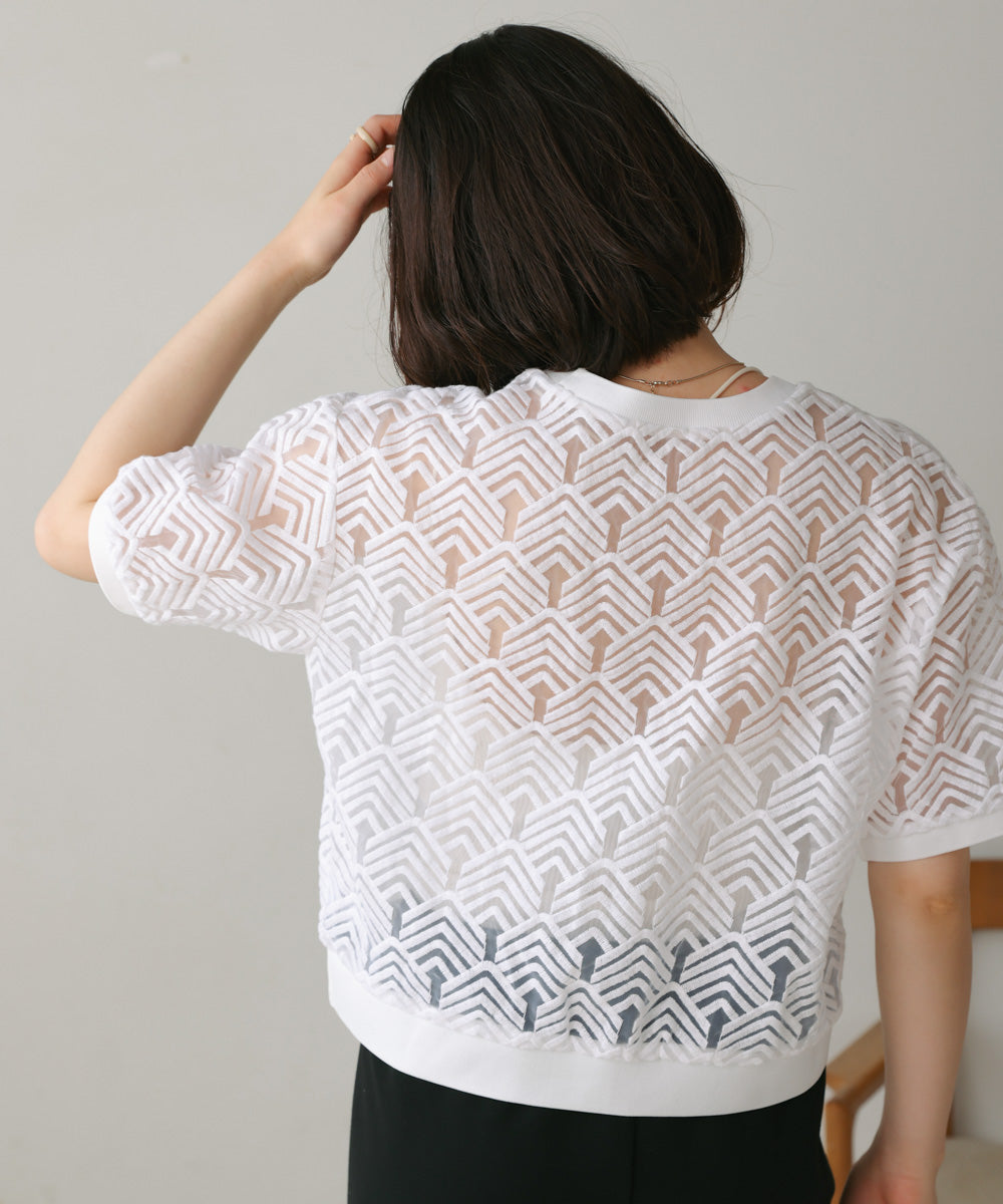 オーガンジー刺繍ブラウス