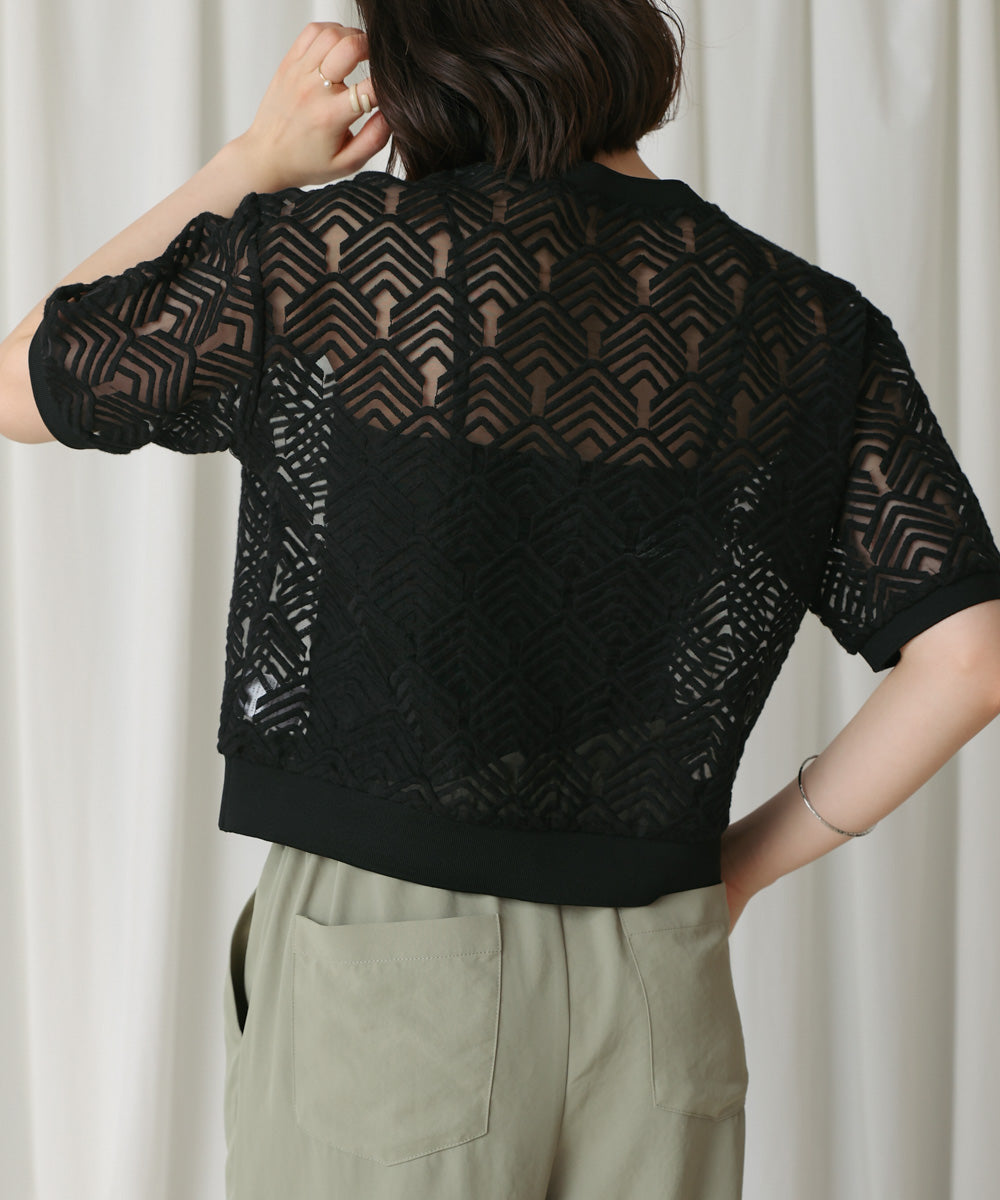 オーガンジー刺繍ブラウス