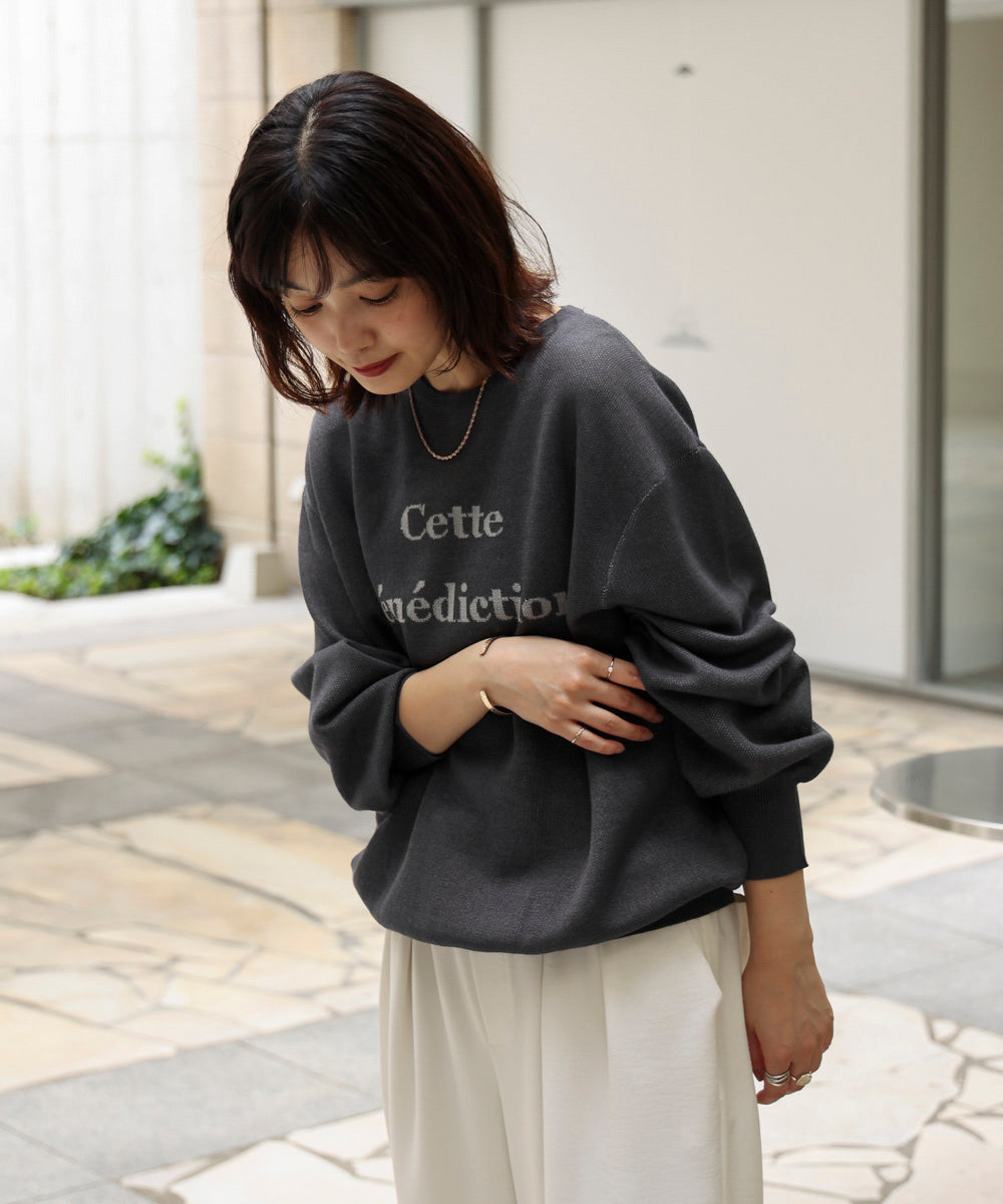 シアーロゴニットプルオーバー