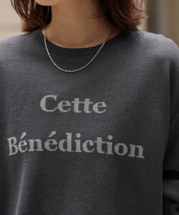 シアーロゴニットプルオーバー