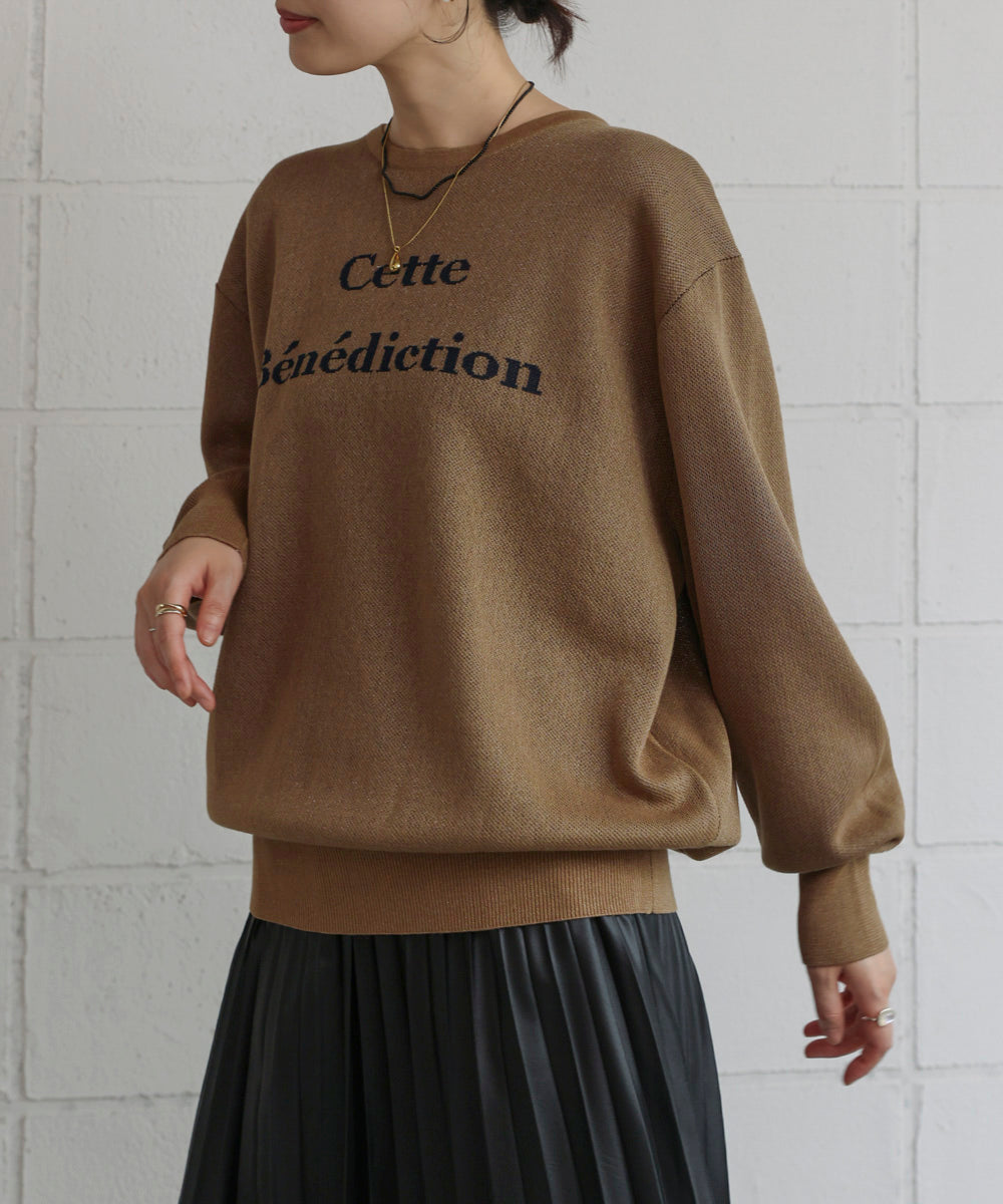 シアーロゴニットプルオーバー