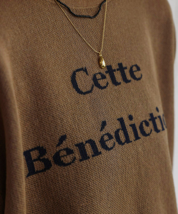 シアーロゴニットプルオーバー