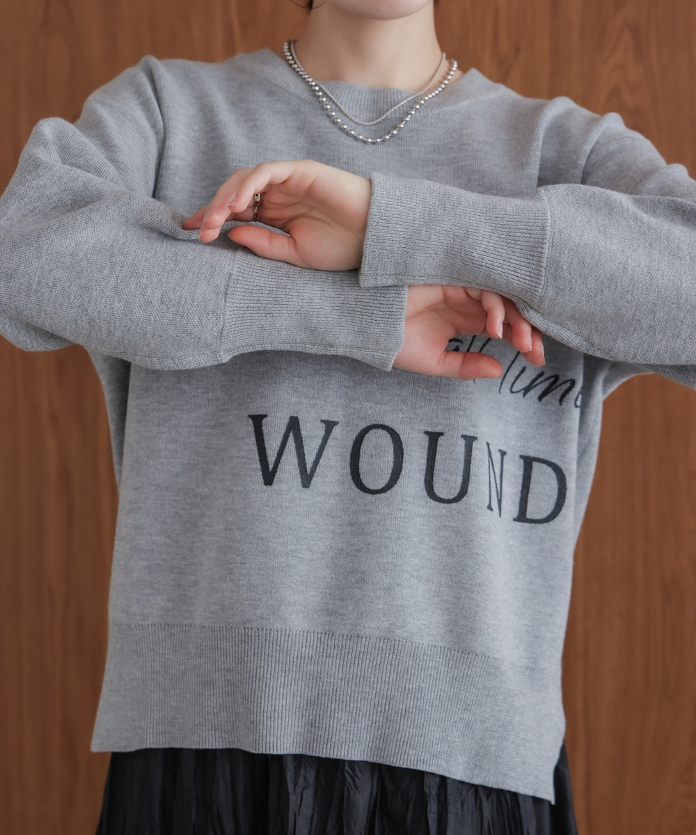 スウェットライクロゴニット