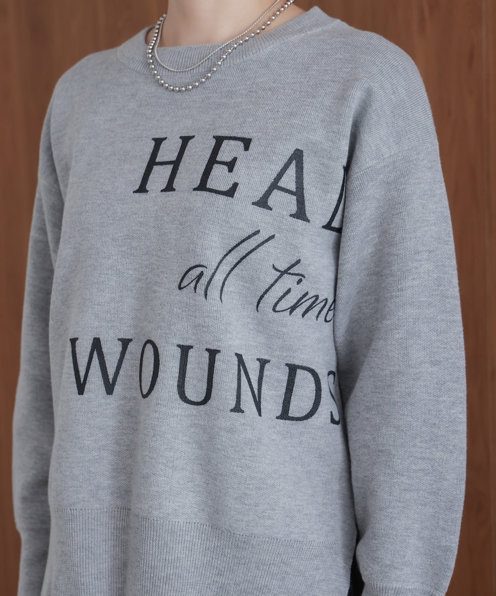 スウェットライクロゴニット