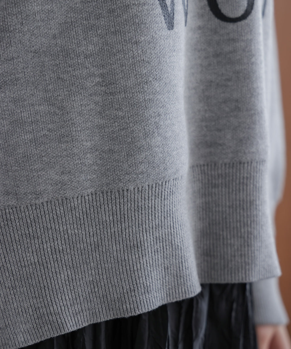 スウェットライクロゴニット