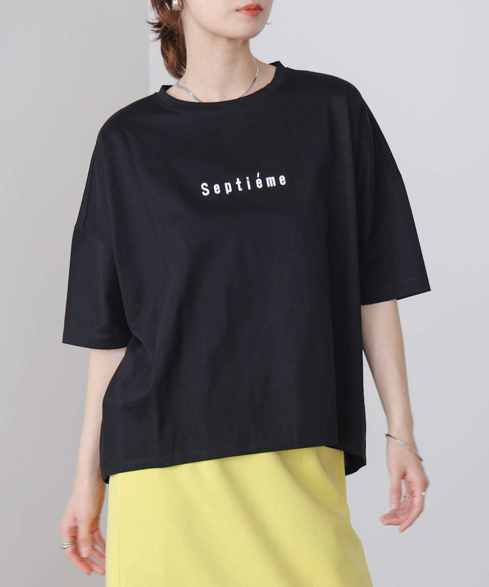 WシルケットバックシャイニーラインロゴT