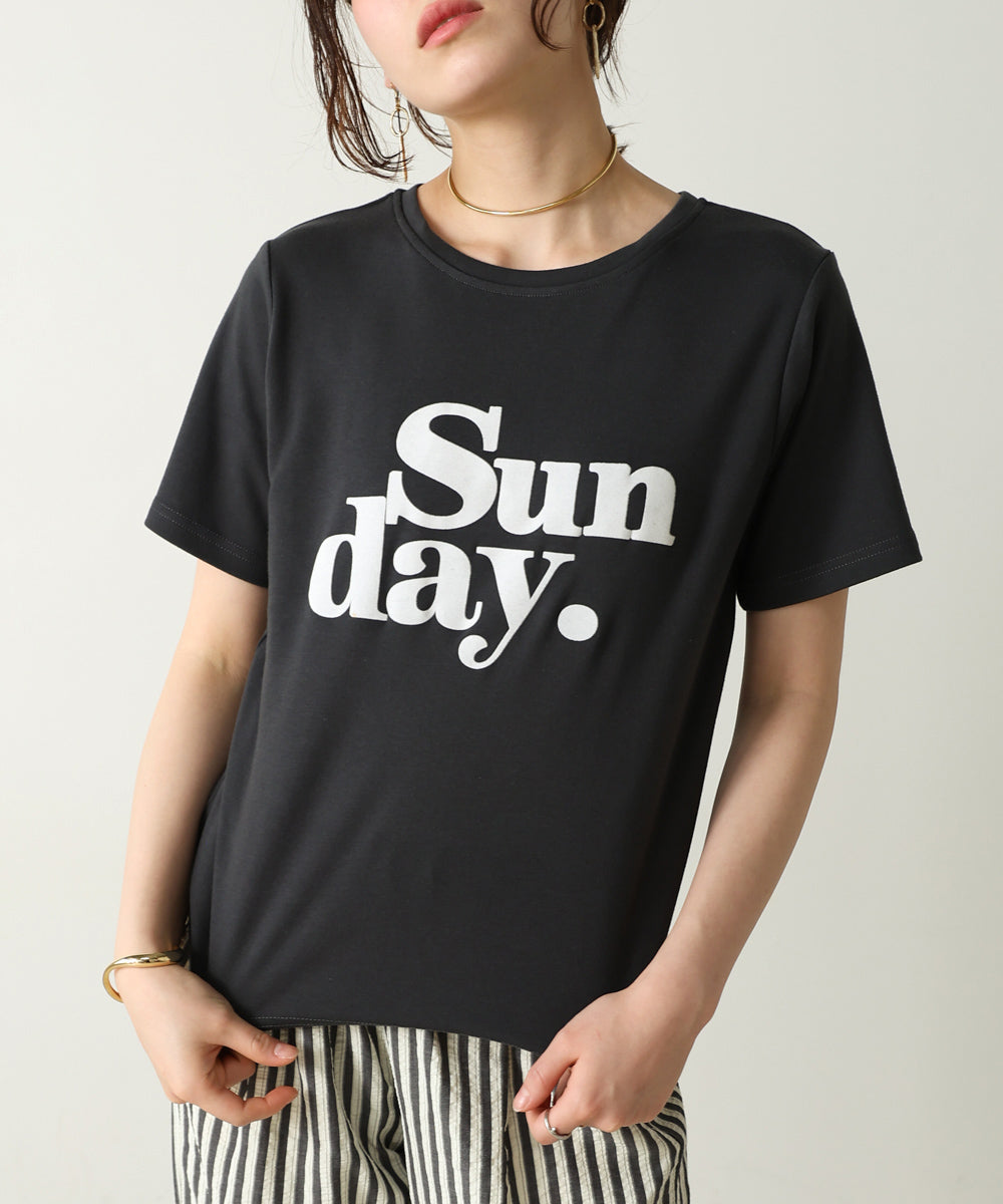 フロッキーロゴTシャツ