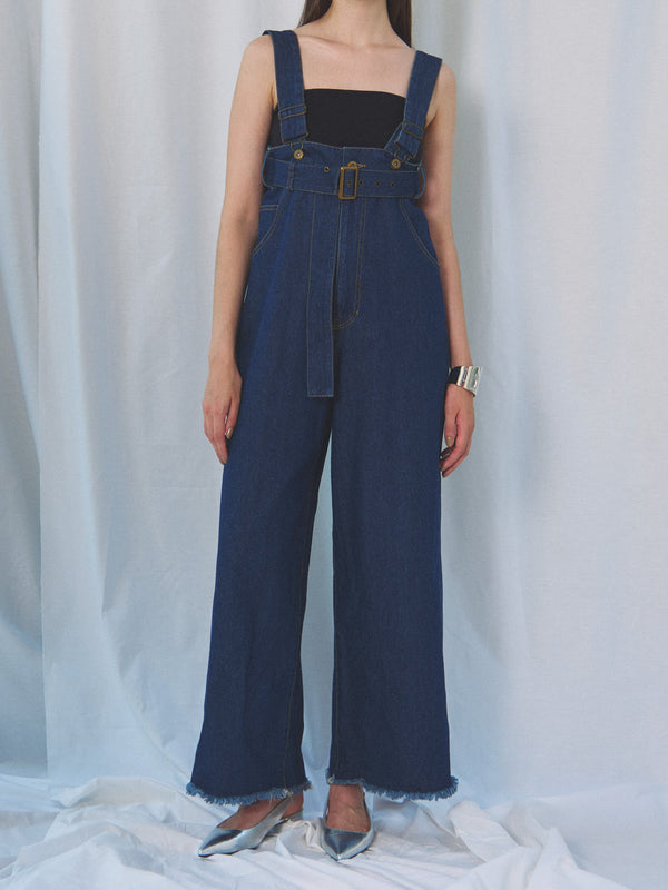 DENIM OVERALLS（ﾃﾞﾆﾑｵｰﾊﾞｰｵｰﾙ)