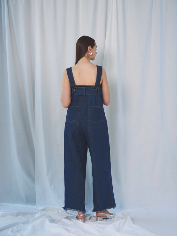 DENIM OVERALLS（ﾃﾞﾆﾑｵｰﾊﾞｰｵｰﾙ)