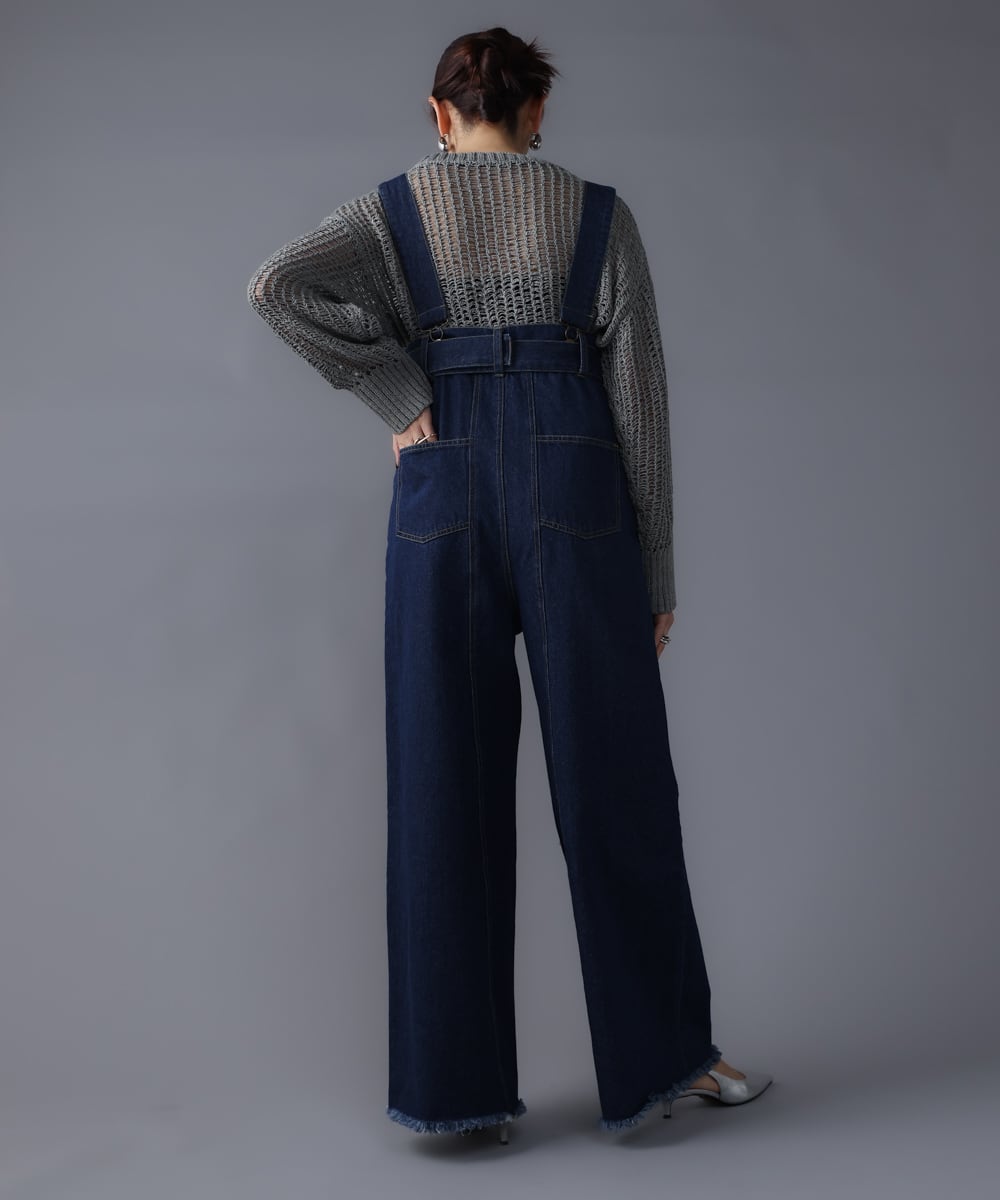 DENIM OVERALLS（ﾃﾞﾆﾑｵｰﾊﾞｰｵｰﾙ)