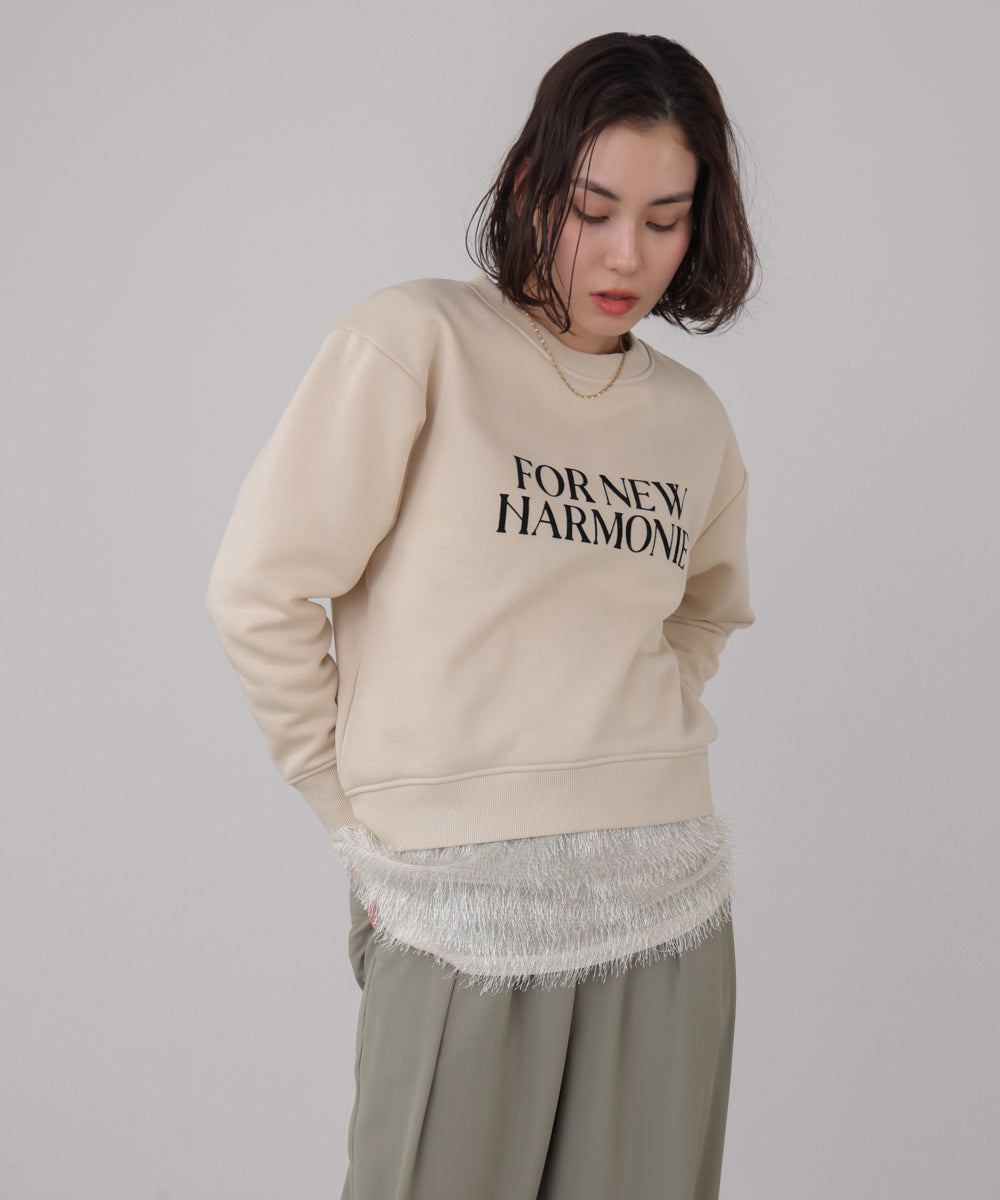 裏起毛レタリングロゴプルオーバー