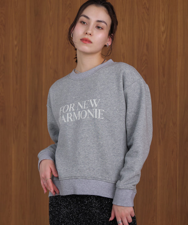 裏起毛レタリングロゴプルオーバー