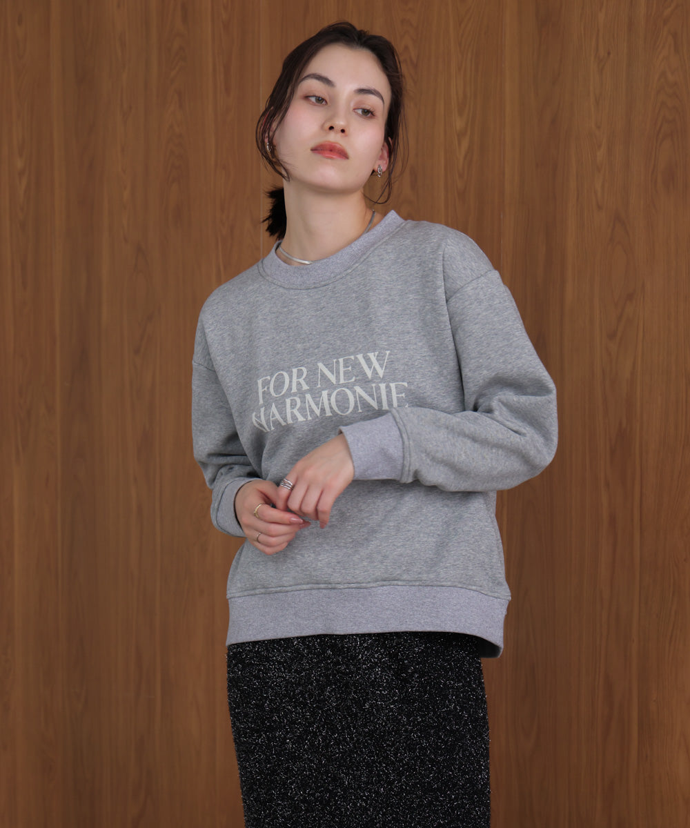 裏起毛レタリングロゴプルオーバー