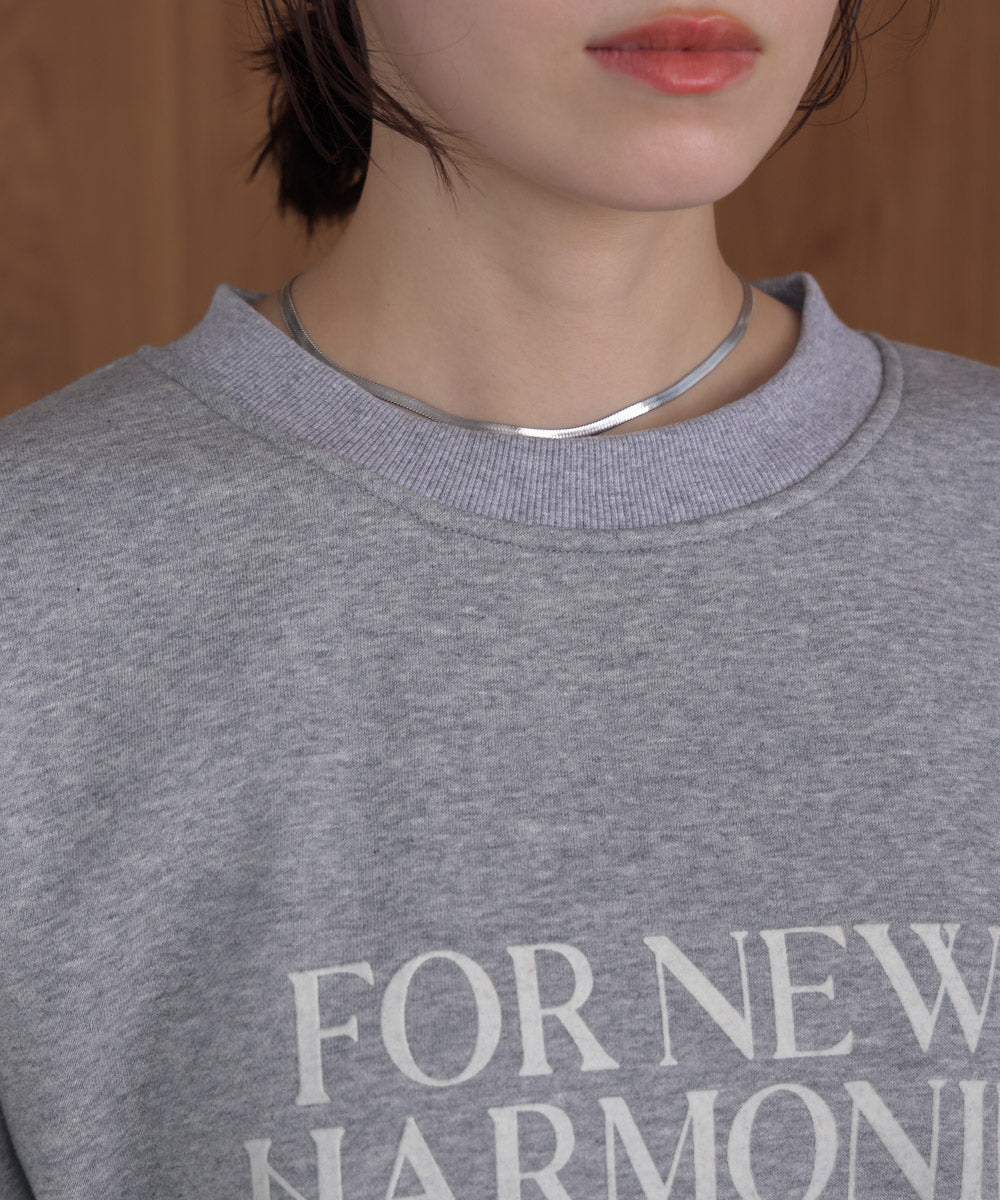 裏起毛レタリングロゴプルオーバー