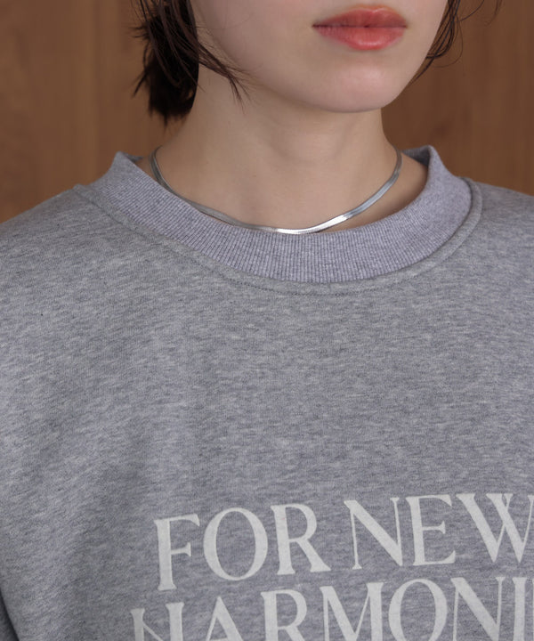 裏起毛レタリングロゴプルオーバー