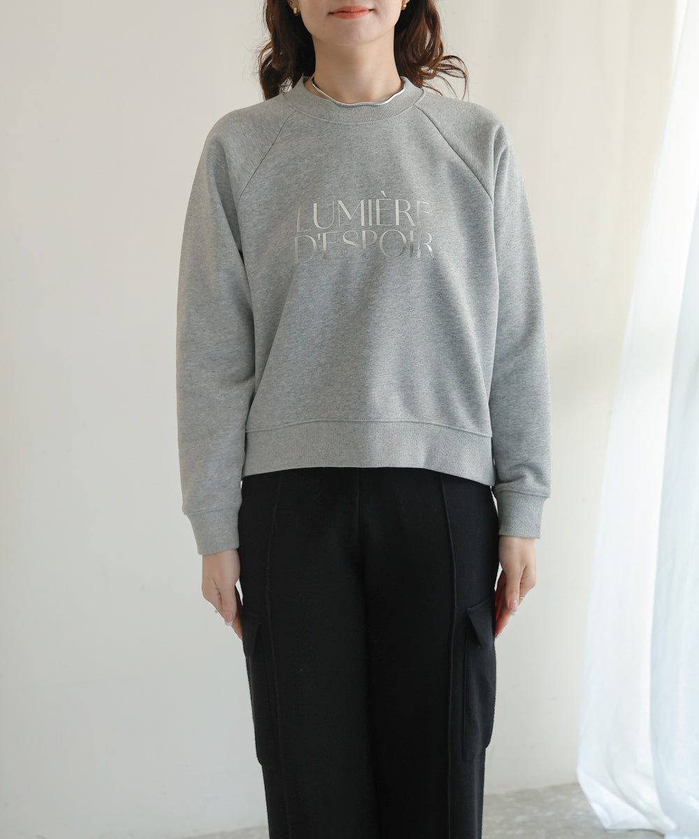 WEB限定］シルバーロゴ裏毛プルオーバー