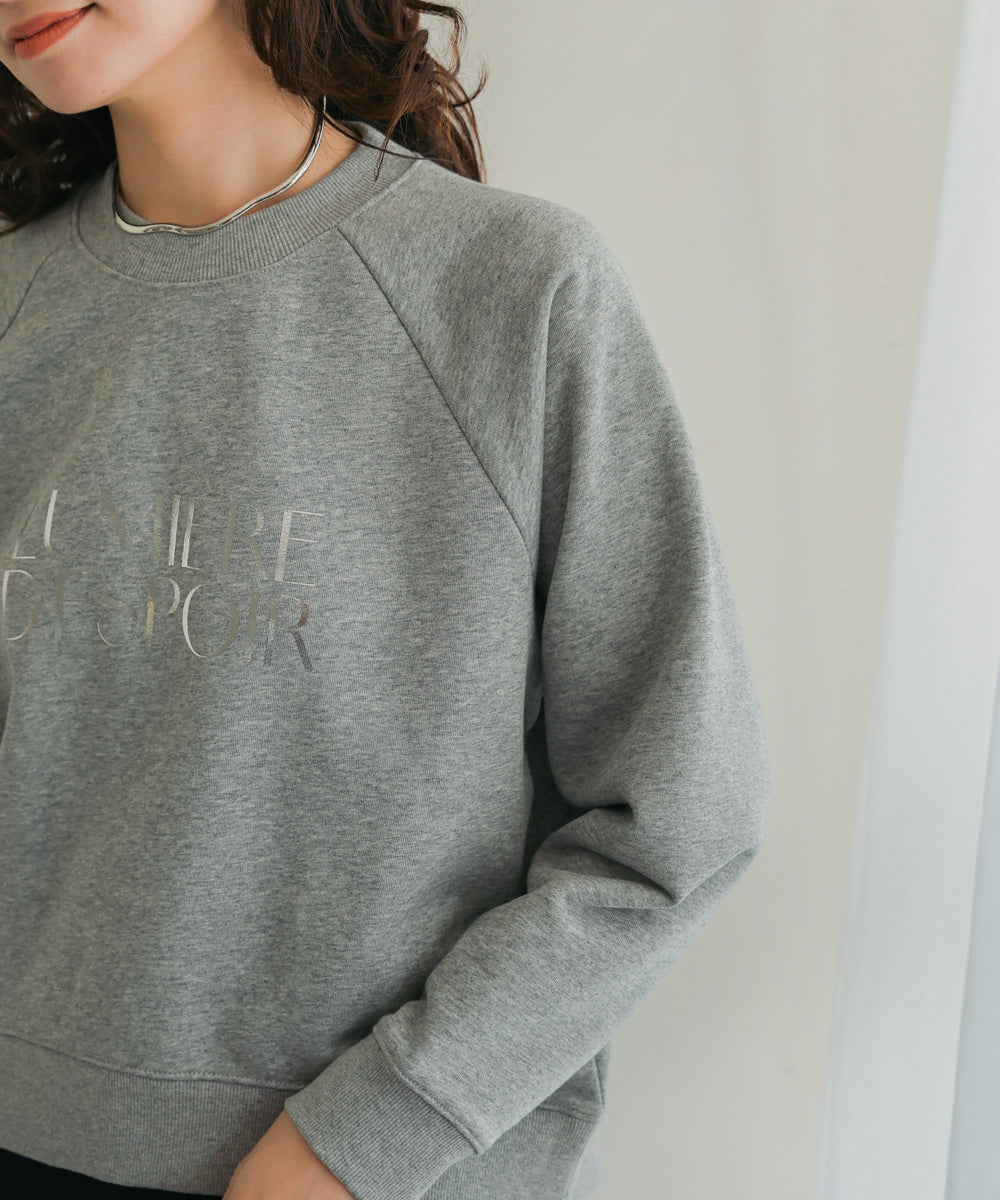 WEB限定］シルバーロゴ裏毛プルオーバー