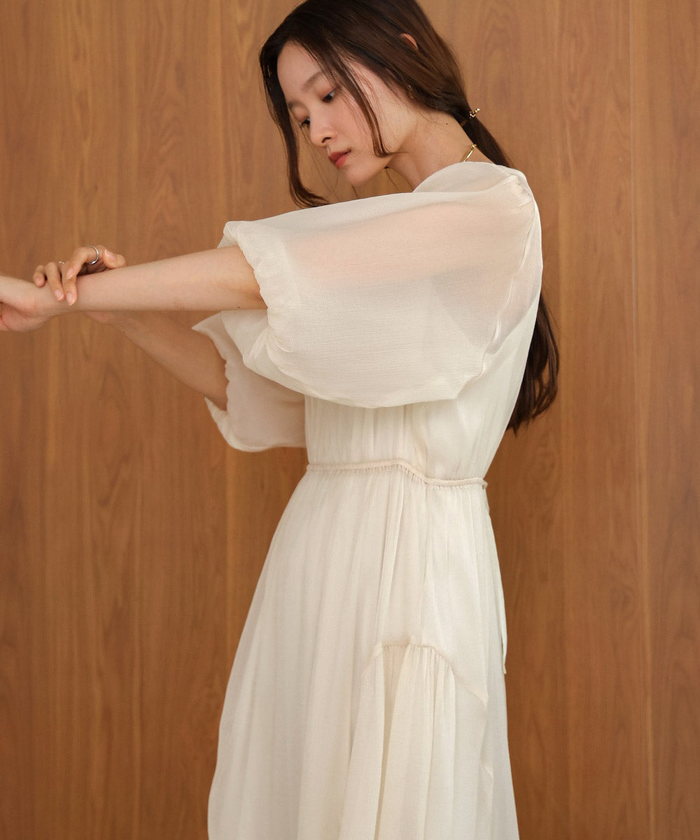 sheer volume sleeve onepiece