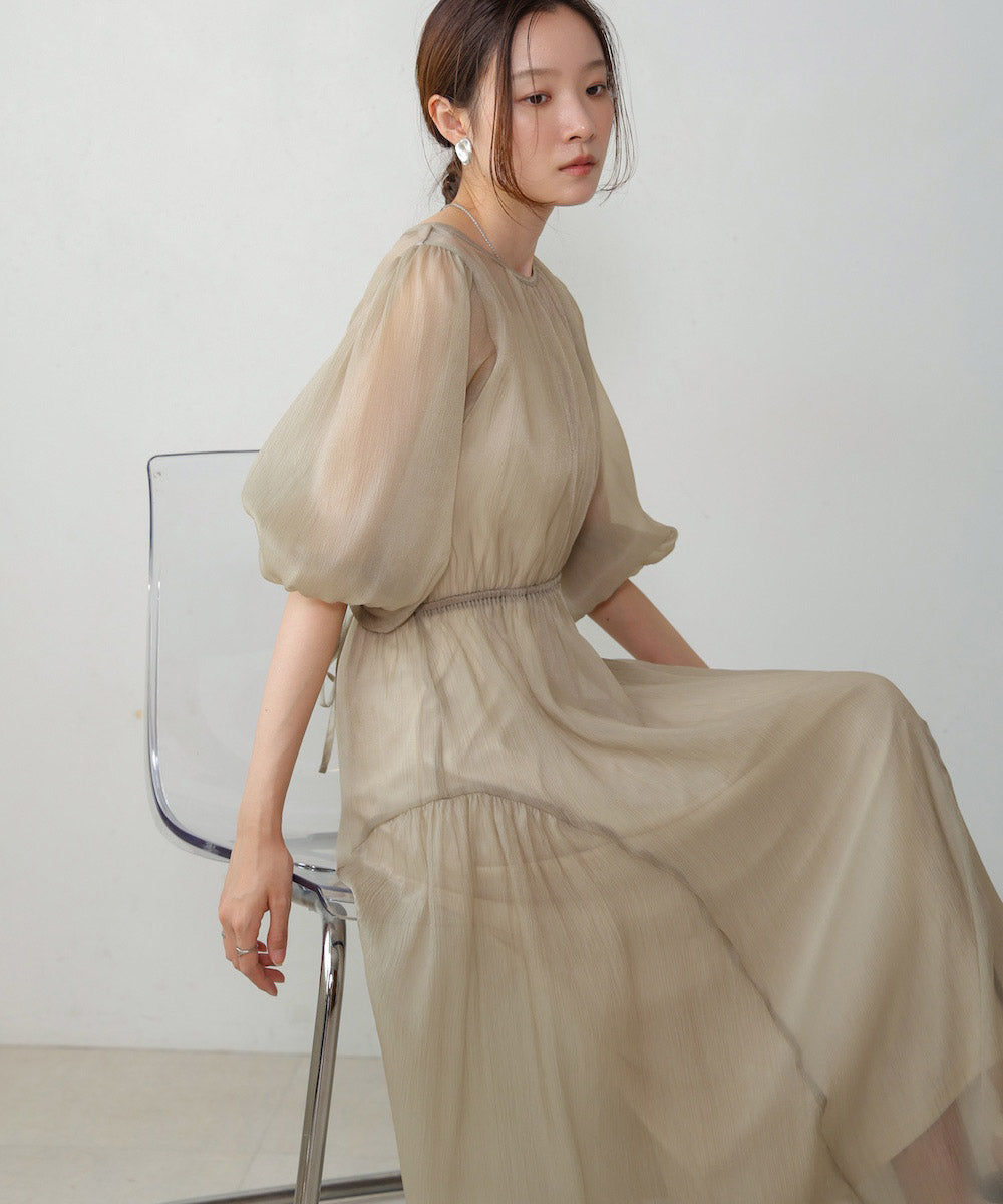 sheer volume sleeve onepiece