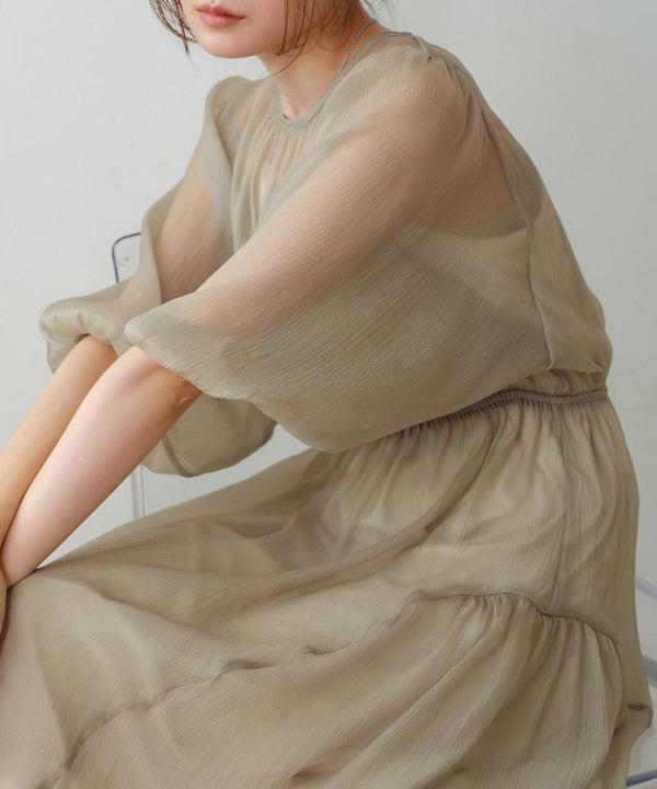 sheer volume sleeve onepiece