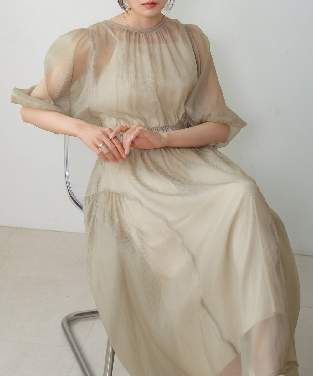 sheer volume sleeve onepiece