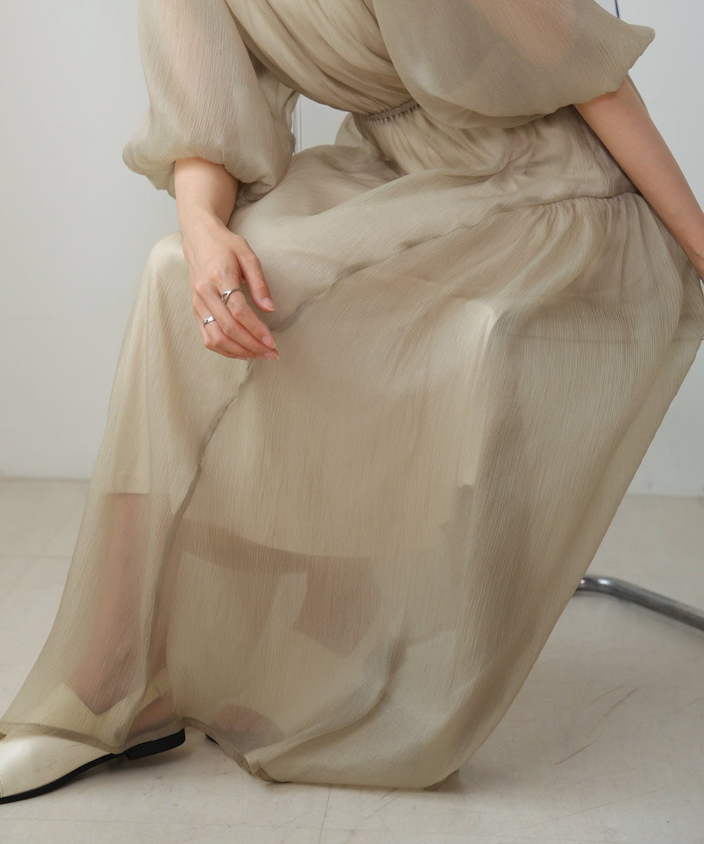 sheer volume sleeve onepiece