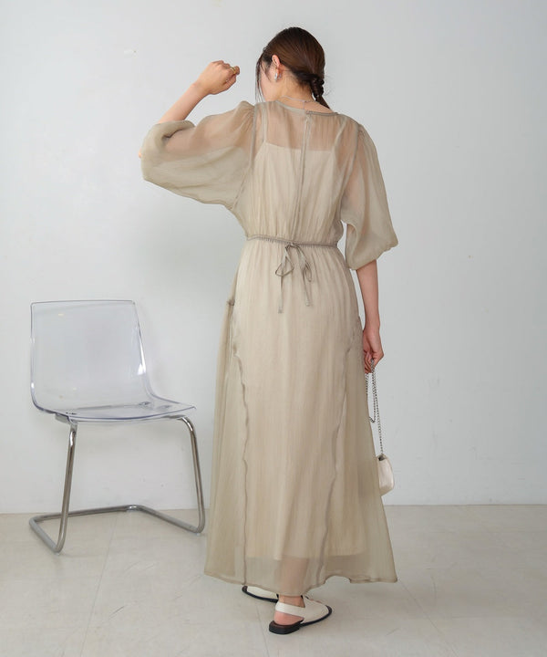 sheer volume sleeve onepiece