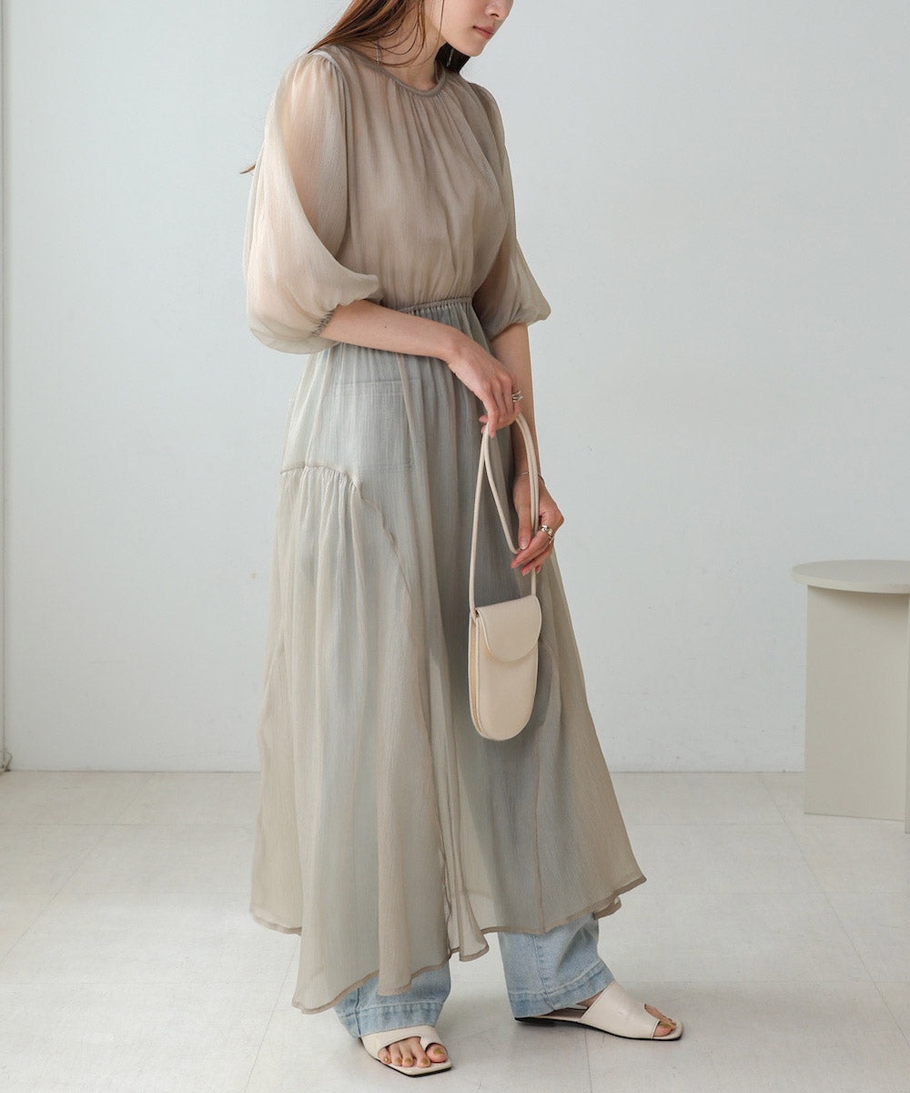 sheer volume sleeve onepiece