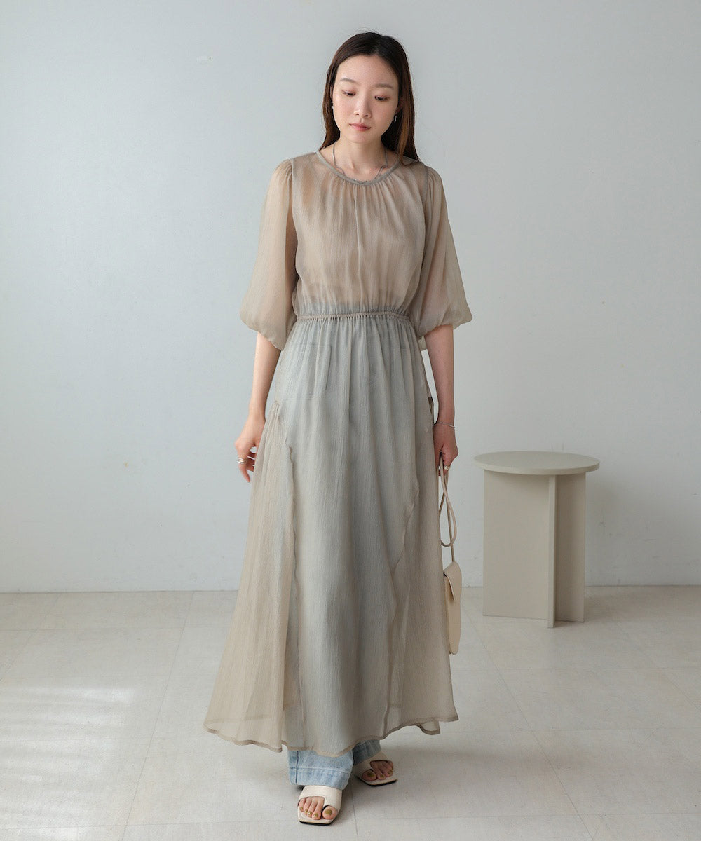 sheer volume sleeve onepiece